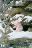saas_fee_04