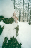 saas_fee_05